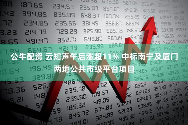 公牛配资 云知声午后涨超11% 中标南宁及厦门两地公共市级平台项目